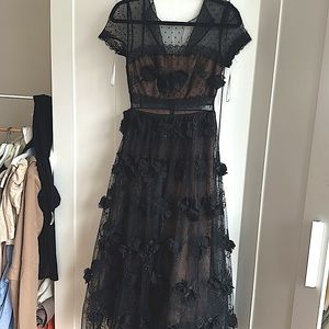 Marchesa’s Notte